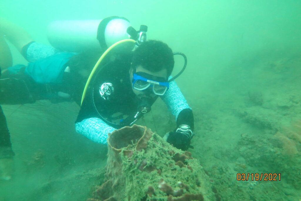 Saving Cebu City’s Last Coastal Reef